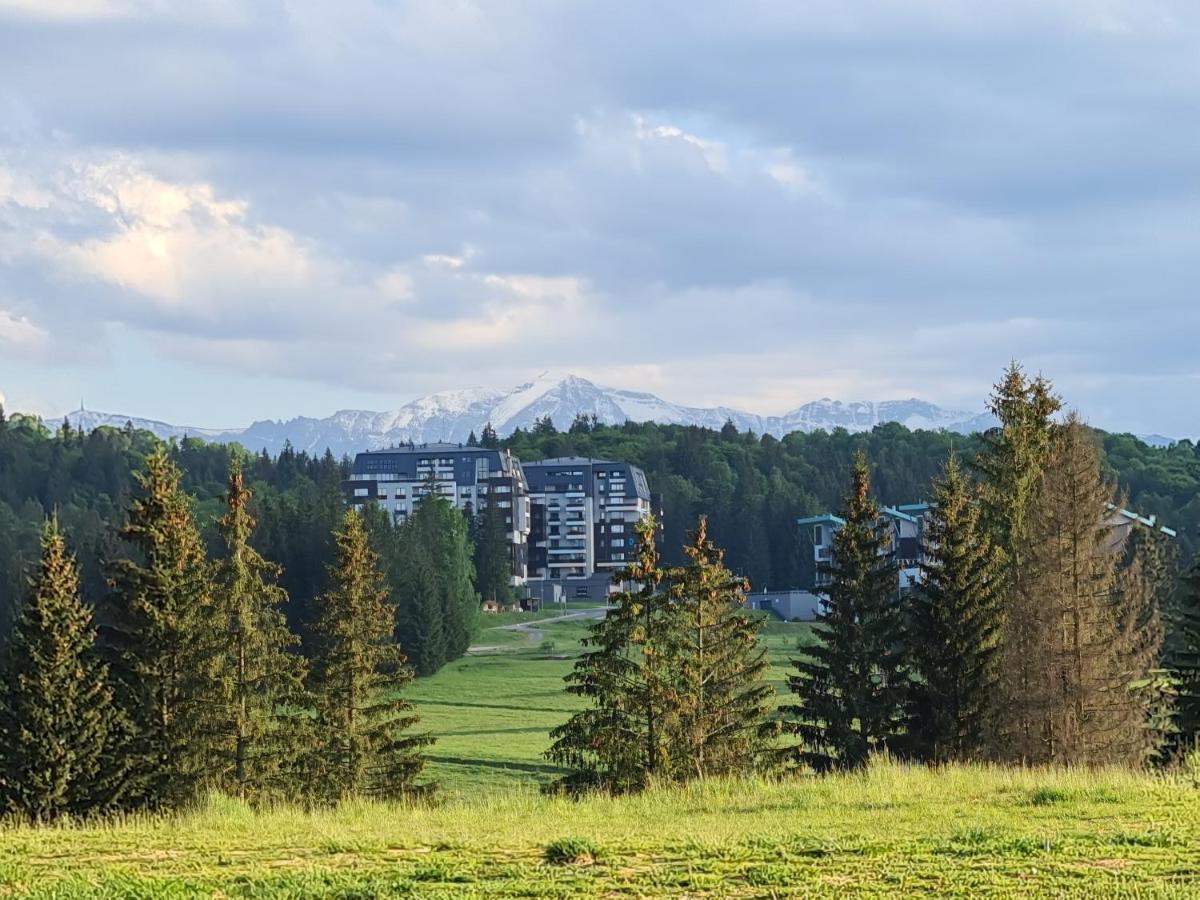 Sarah Deluxe Apartment In Silver Mountain โปยานาบราซอฟ ภายนอก รูปภาพ