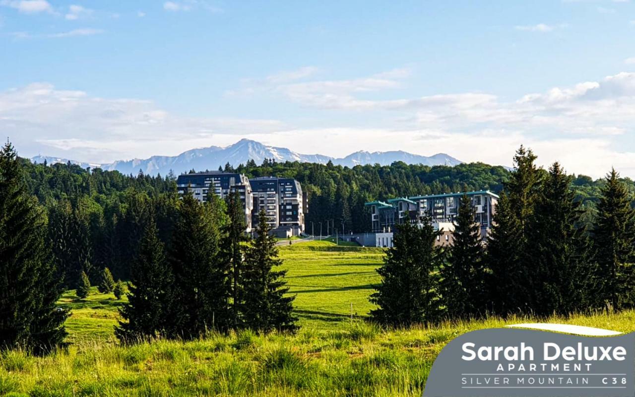 Sarah Deluxe Apartment In Silver Mountain โปยานาบราซอฟ ภายนอก รูปภาพ